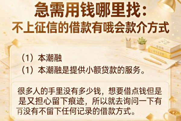 急需用钱哪里找？不上征信的借款有哪些我整理了这些