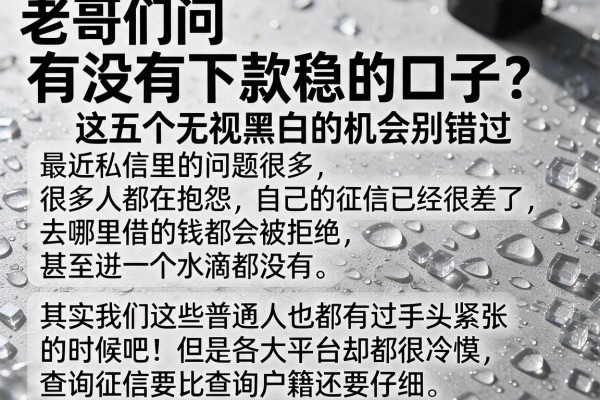 老哥们问有没有下款稳的口子？这五个无视黑白的机会别错过