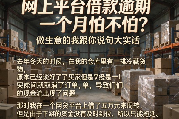 网上平台借款逾期一个月怕不怕？做生意的我跟你说句大实话